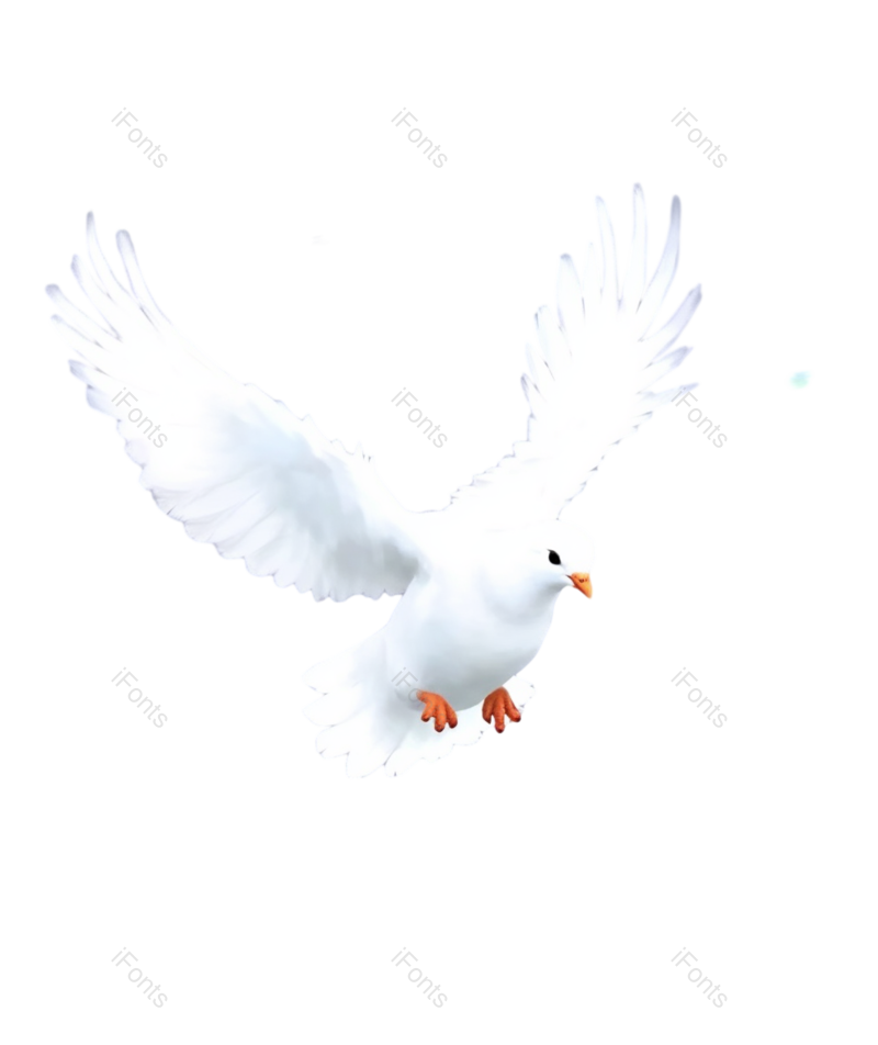 节日图片,鸽子元素,插画PNG,白色免抠素材